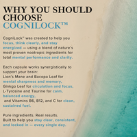 CogniLock – Daily Lifestyle Energy & Focus Support